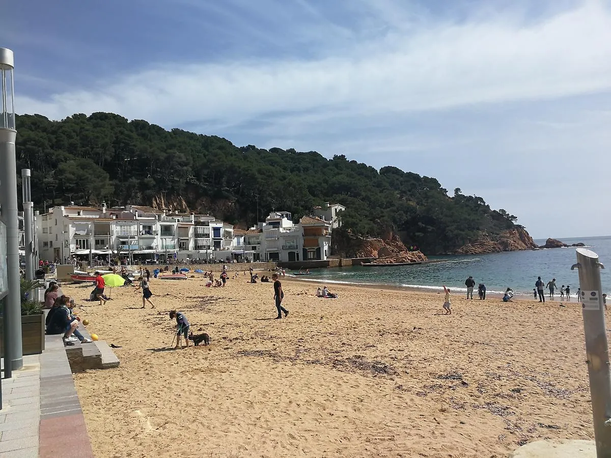 게스트하우스 Hostal Plaja I Pati De Can Plaja 팔라프루헬